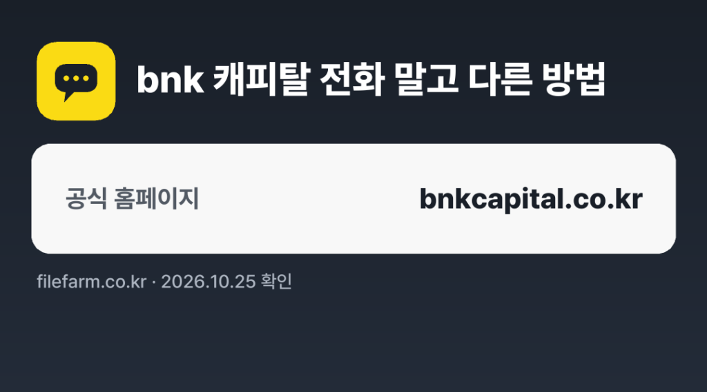 bnk 캐피탈 전화 말고 다른 방법: 공식 홈페이지