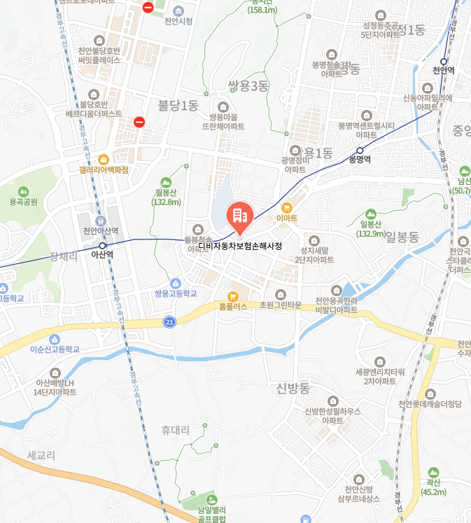 디비자동차보험 이미지