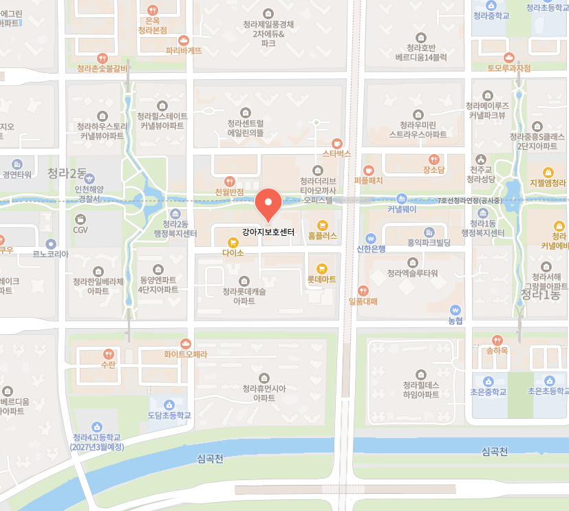 강아지보호센터 이미지