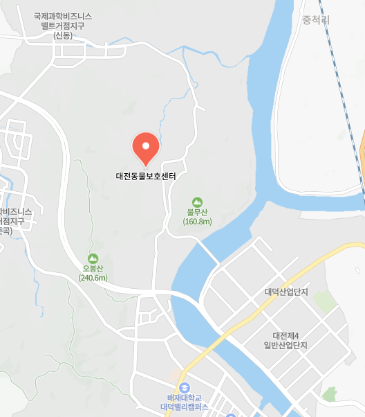 대전유기견보호센터 이미지