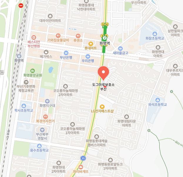 부산유기견보호센터 이미지