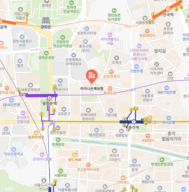 라이나손해보험 이미지