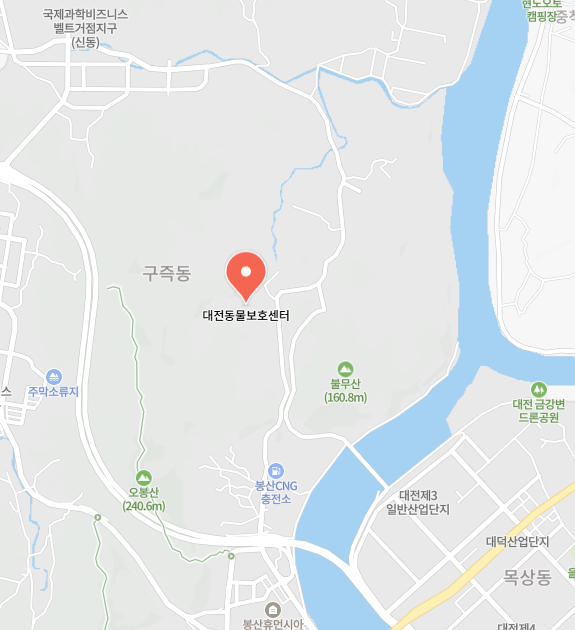 대전동물보호센터 이미지