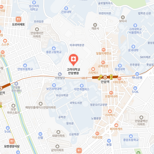 고려대학교 안암병원 이미지