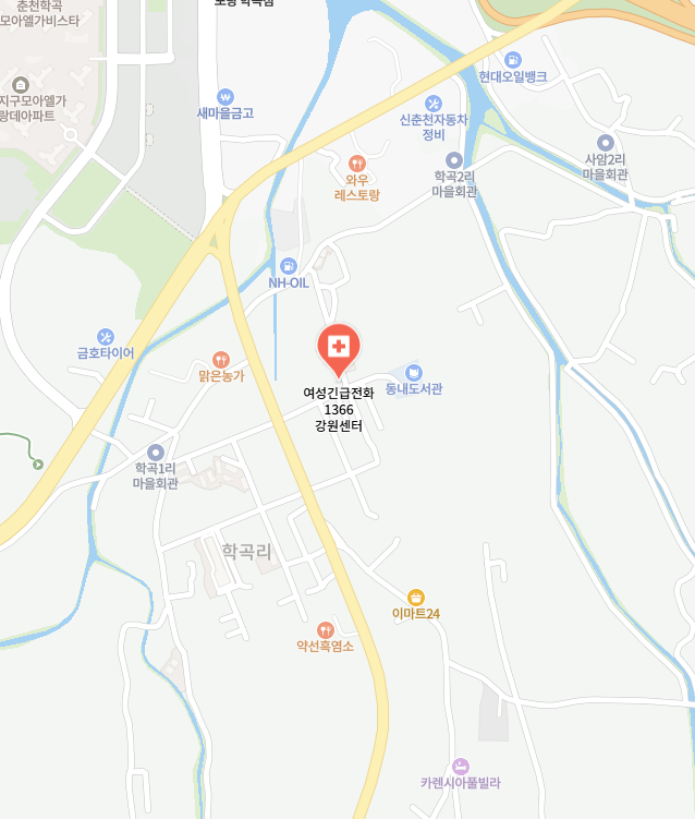 여성긴급전화 1366 강원센터 이미지