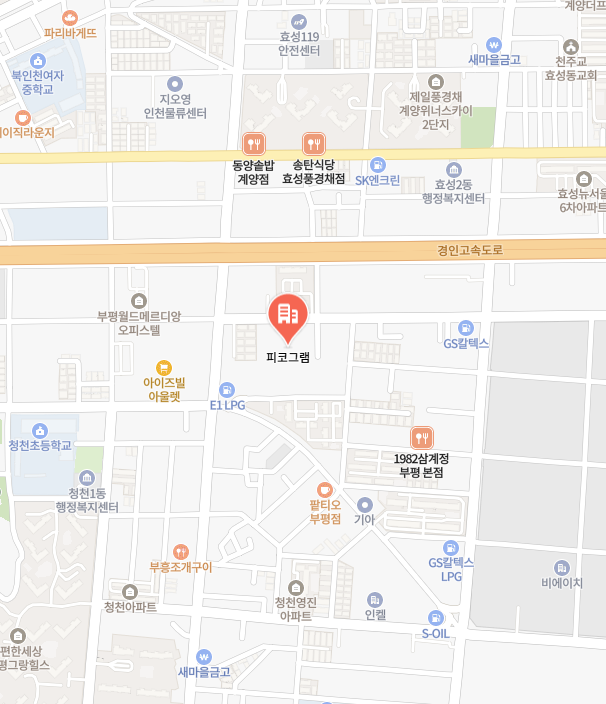 퓨리얼 피코그램 이미지